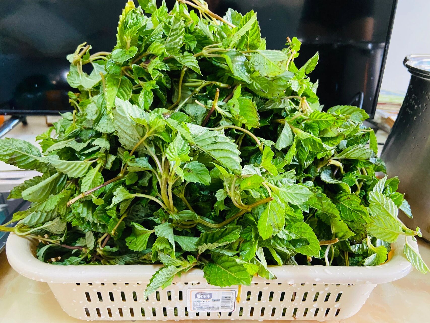 绿凉粉 附教程92 新鲜绿色烧仙草 a:制作仙草冻 1:2斤新鲜仙草.