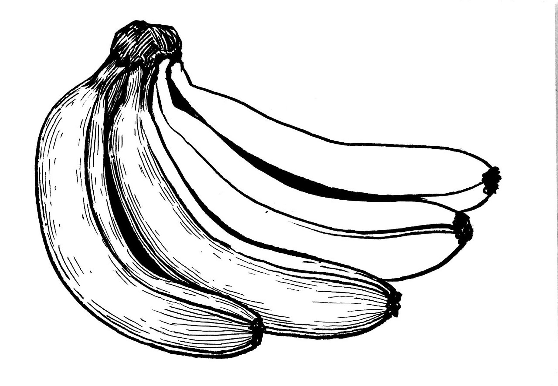 香蕉写生#水果线描写生#创意美术#创意线描 《香蕉写生》 适合年龄:8