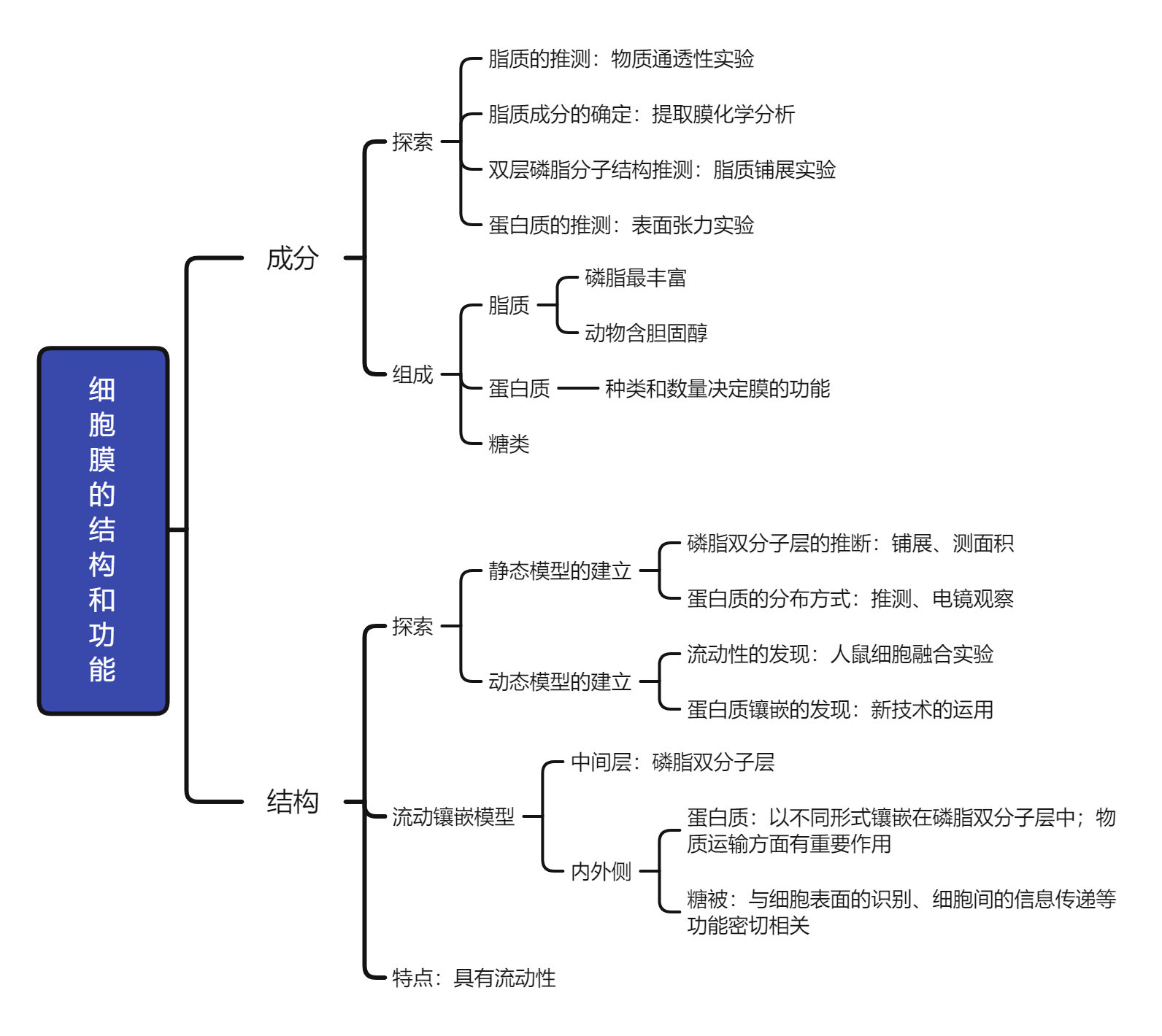 思维导图 高中生物必修一第三章