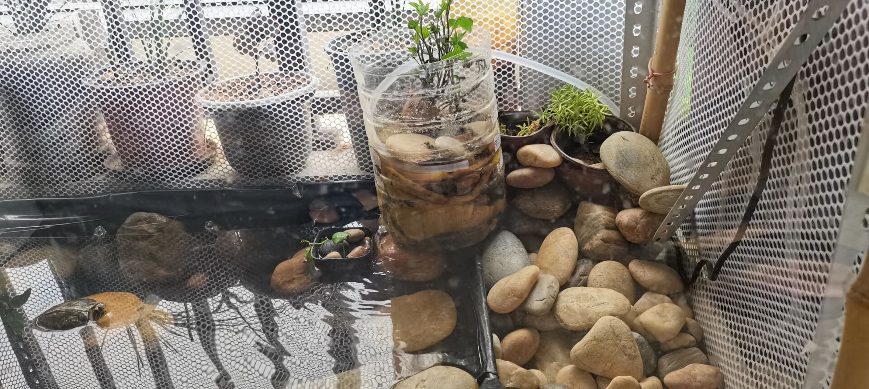 低成本自制阳台小龟池 一,制作方法 1,测量尺寸,看自己家准备做多大的