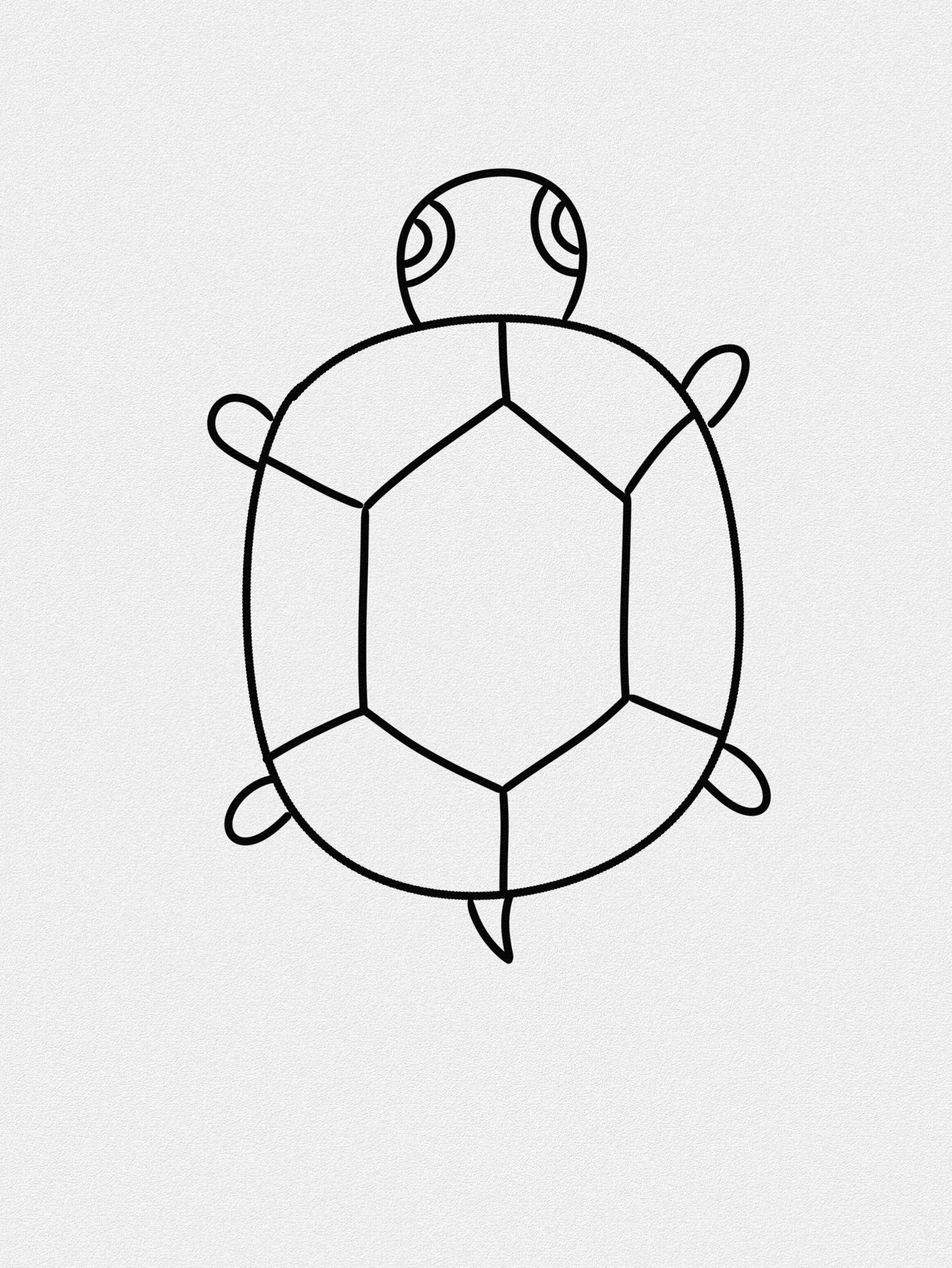 简笔画—小乌龟
