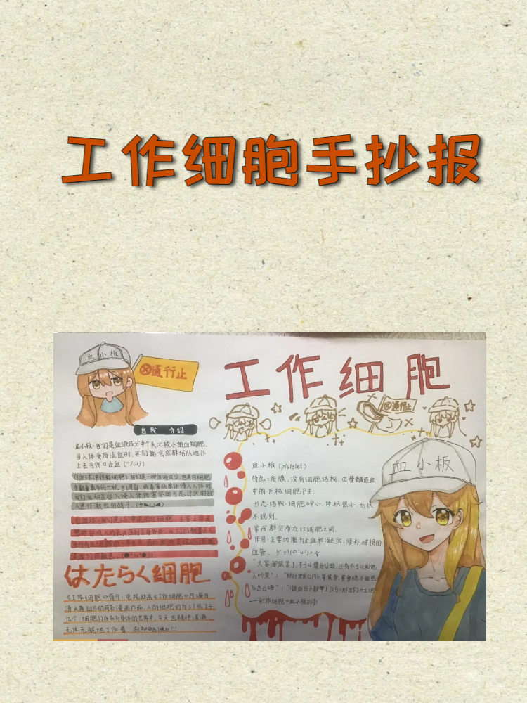 今天我要和大家分享一个超级有趣和可爱的主题——工作细胞手抄报!