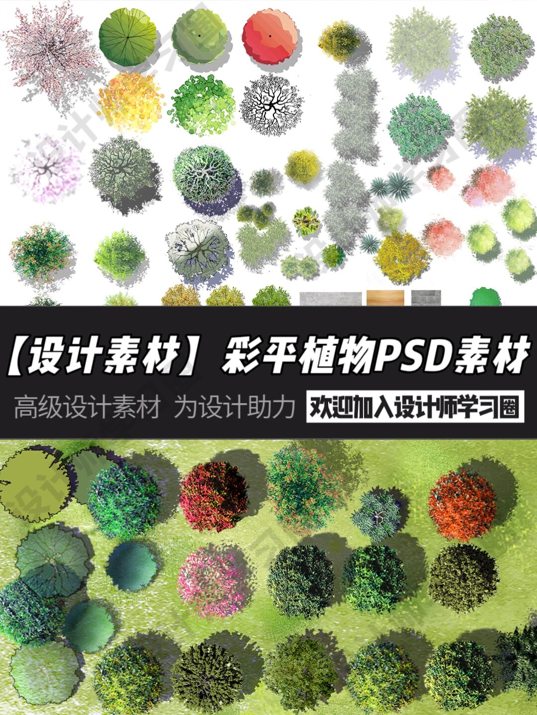 【设计素材】彩平图psd植物素材,设计必备