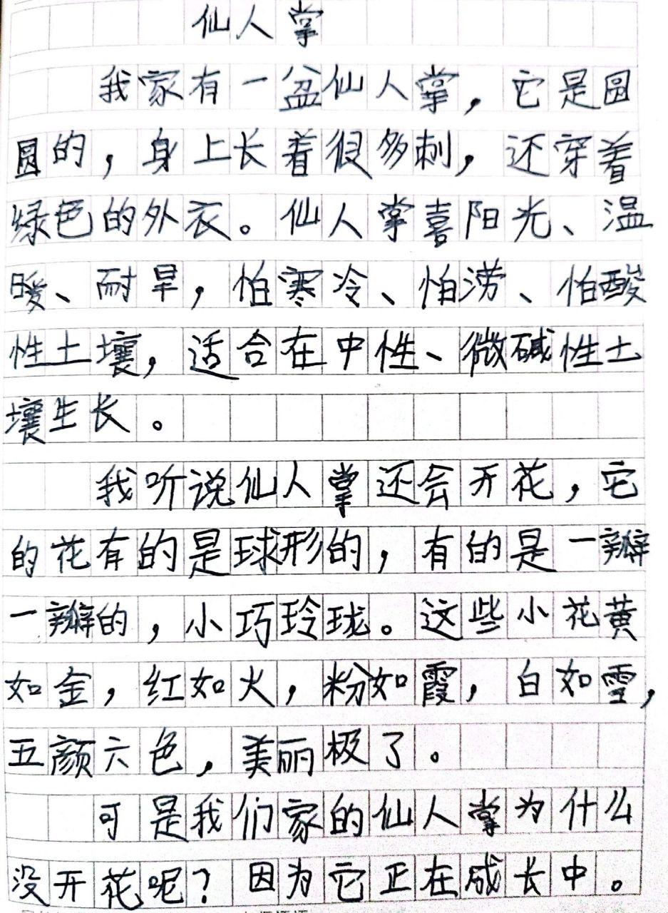 观察植物的作文100字仙人掌(观察植物的作文100字仙人掌三年级)