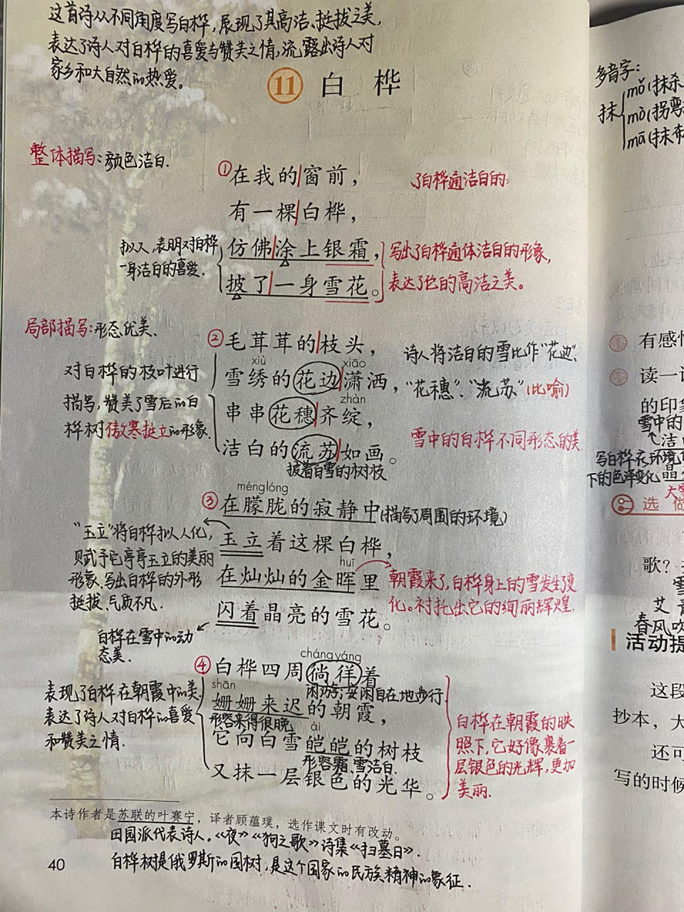 四下:《白桦》详细笔记 四下:《白桦》详细笔记 看不清的地方可以看