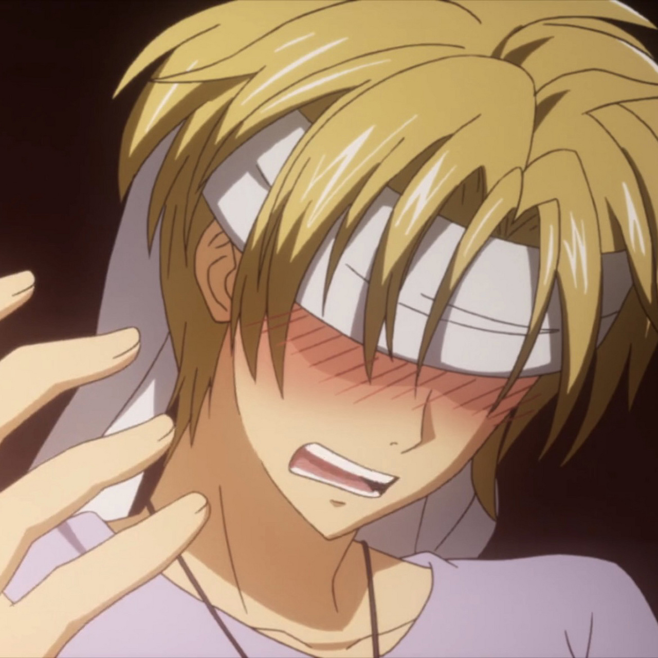 会长是女仆大人