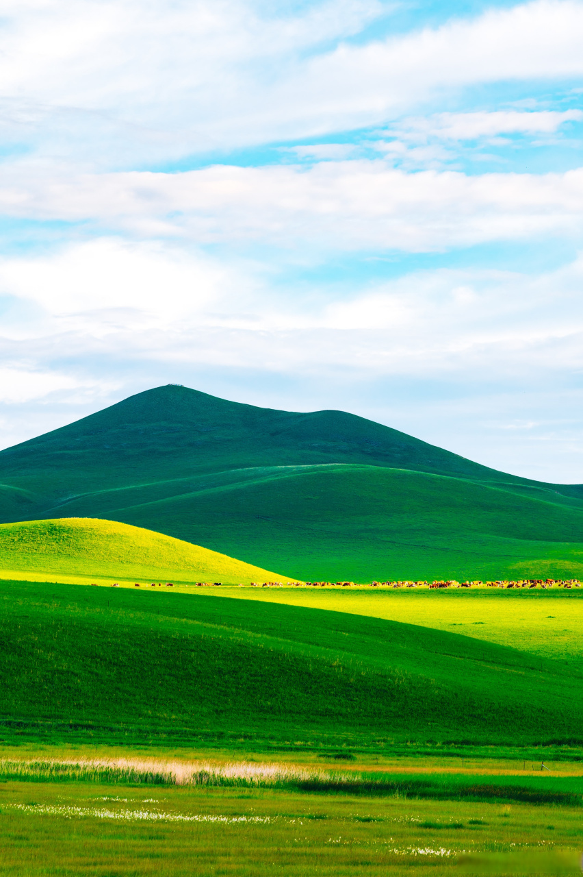 此时此刻 心情如此的舒畅78 故地重游,辽阔草原·锡林郭勒 (92