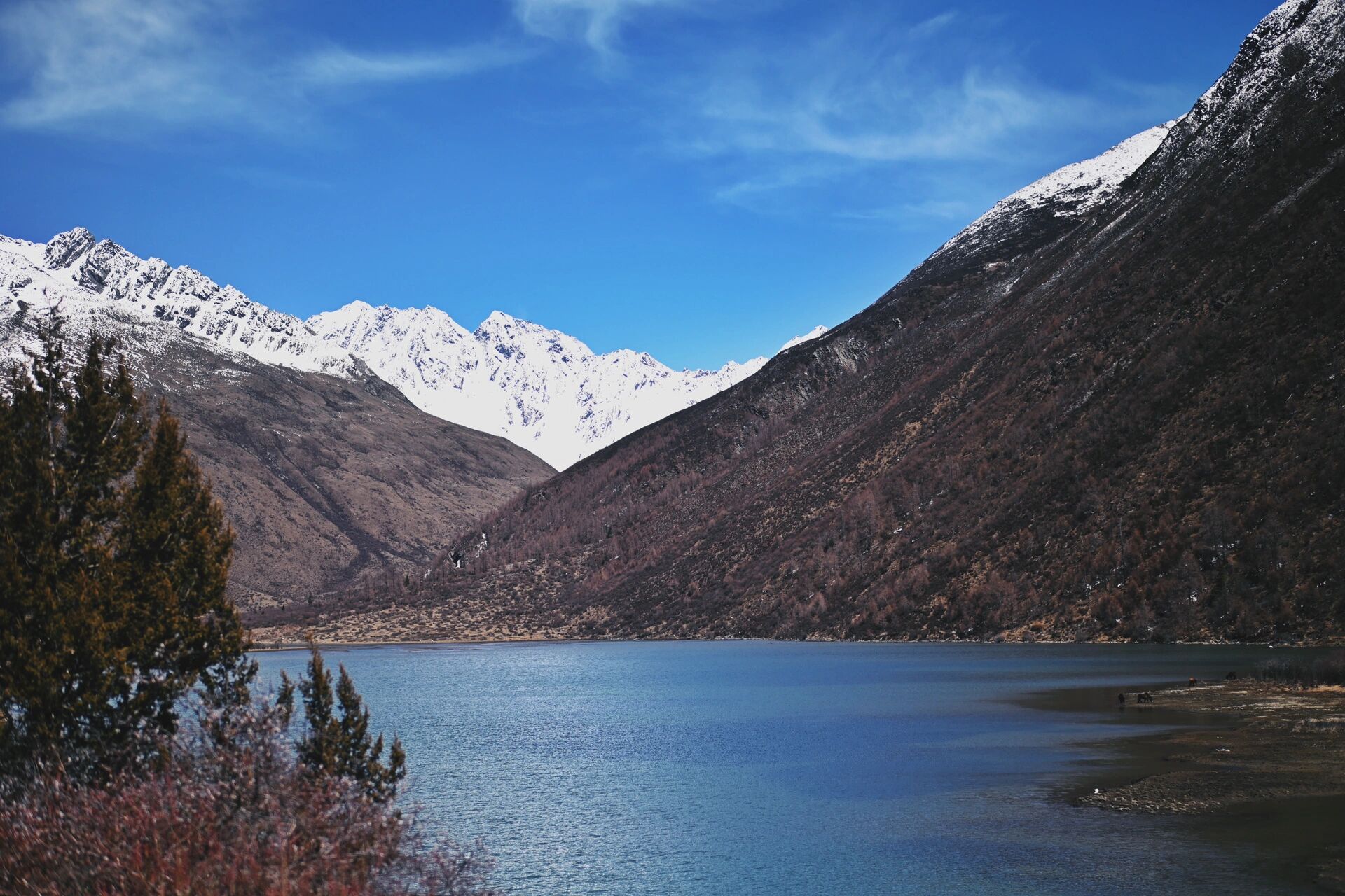 四姑娘山海子沟攻略-超美景区徒步路线 门票:60元游览方式:全程徒步