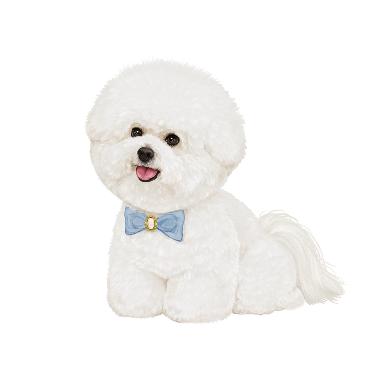 手绘宠物画94| 还原真实比熊03 崽崽的黑嘴唇 ugg腿 大屁股 大