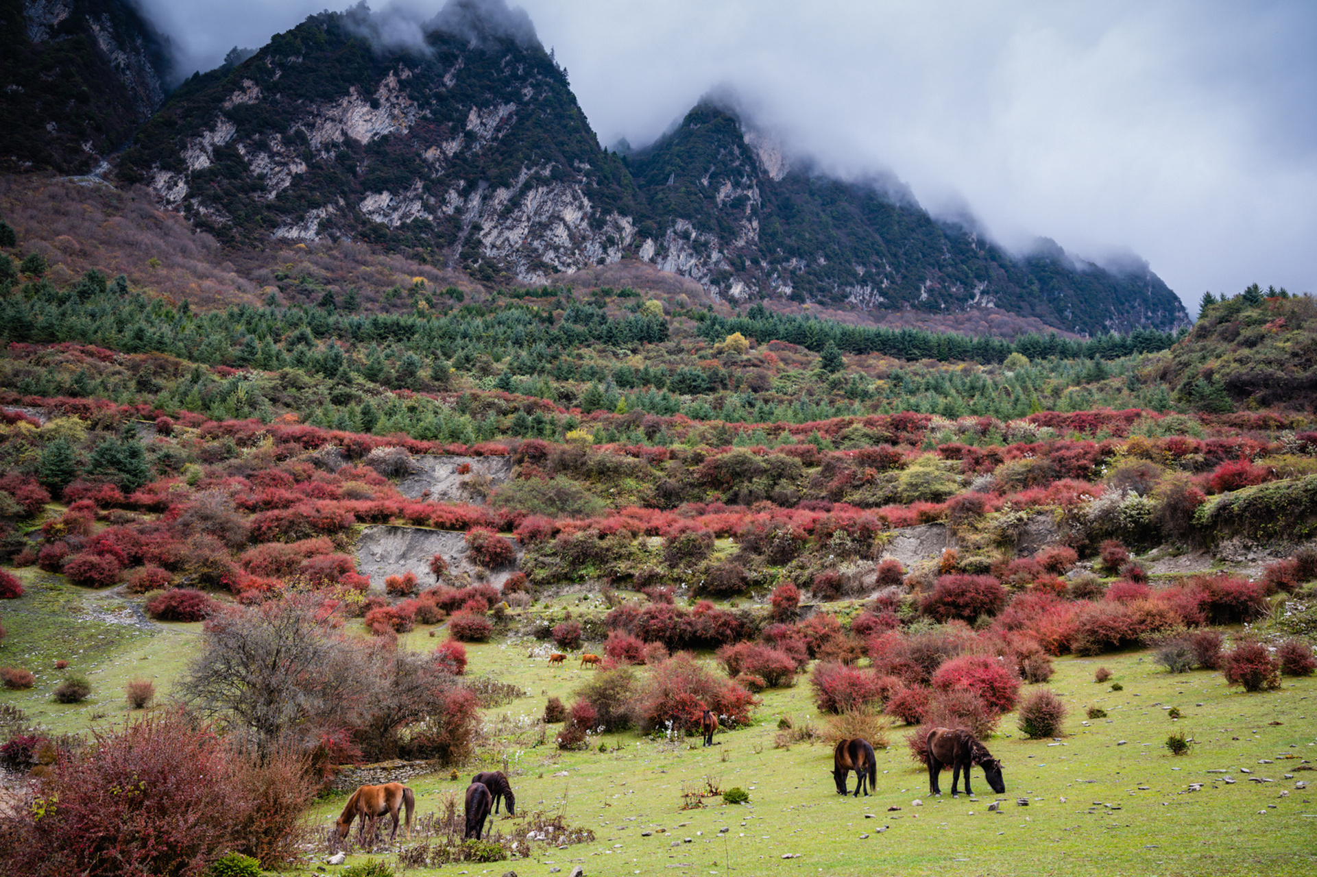 九子寨-四川的马丘比丘 九子寨位于阿坝州理县木卡乡,2600米的海拔