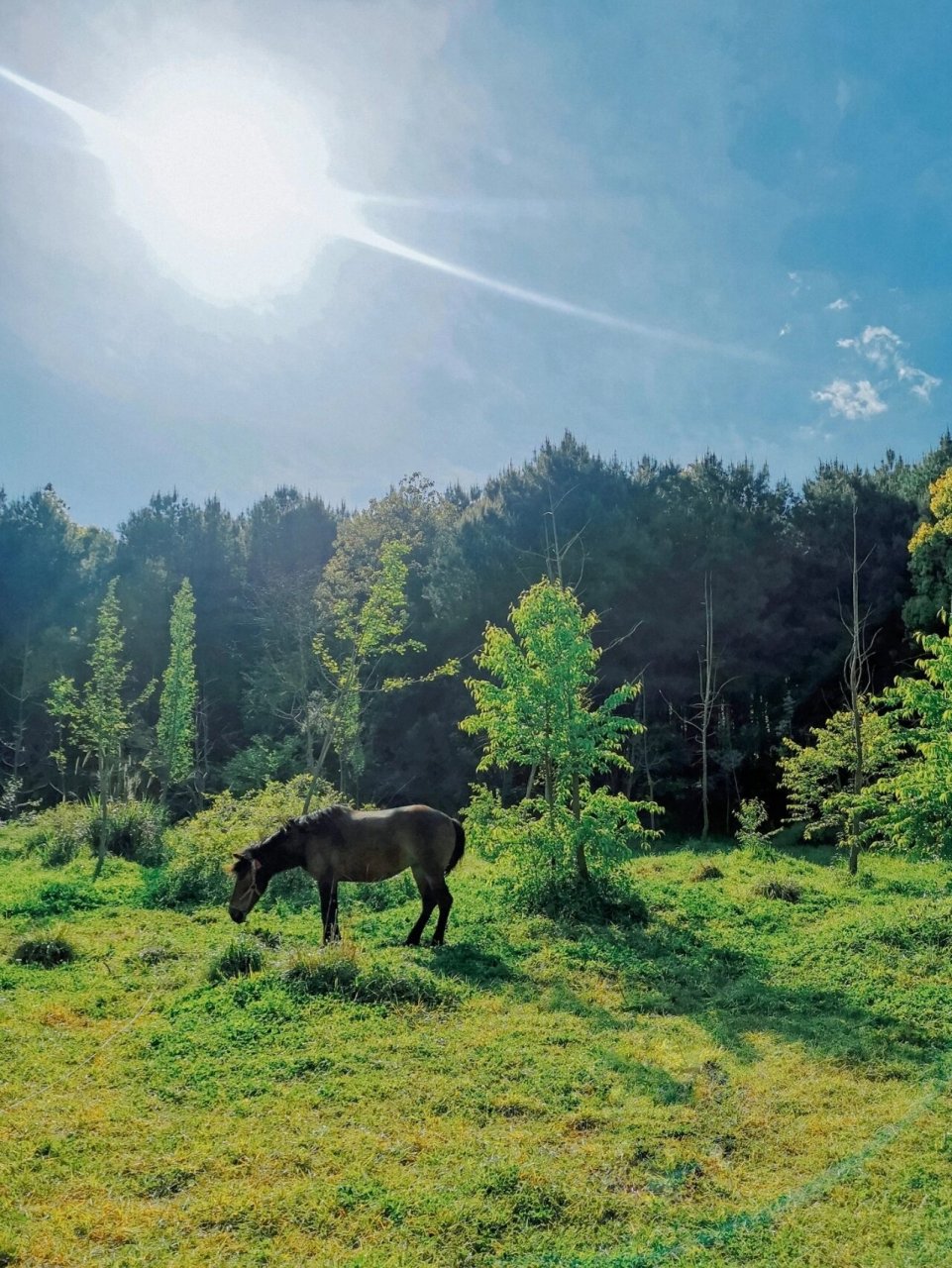 贵州贵阳都溪林场|在ufo传说的地方过周末 都溪林场在贵阳市北15公里