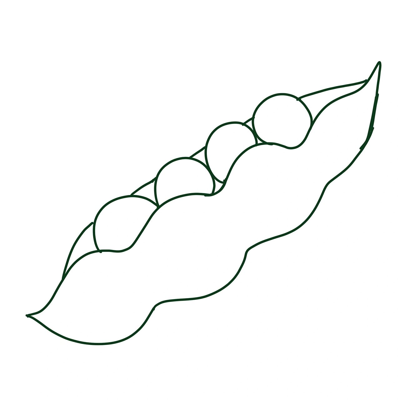 蔬菜植物系列9799简笔画:毛豆 今日份打卡:营养的毛豆 第一步:画