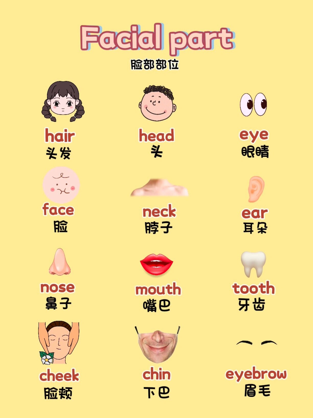 英语晨读 | 眼睛鼻子脸颊眉毛这些都怎么说?