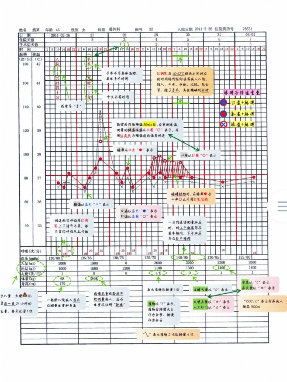 体温单绘制图解图片