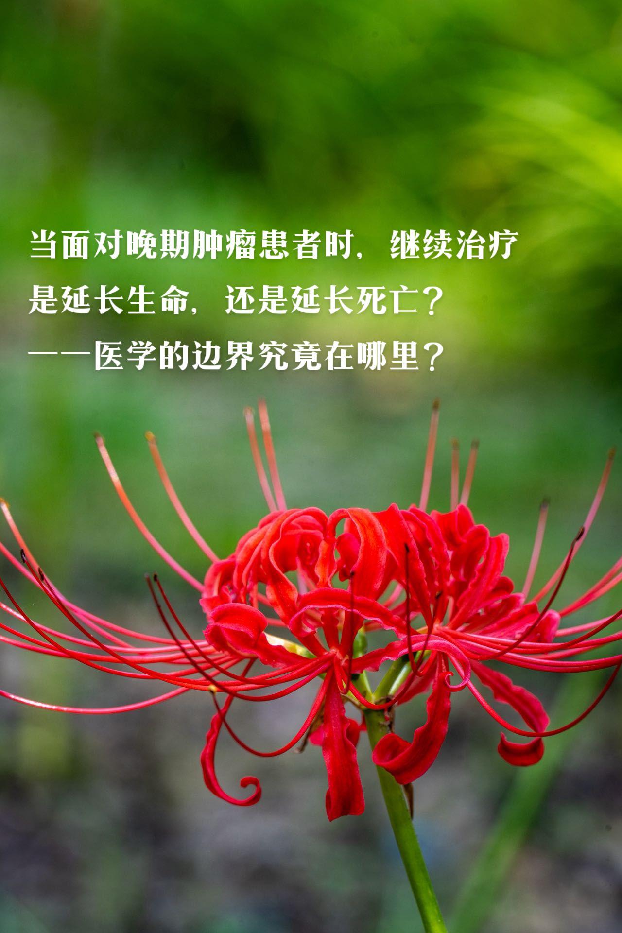 某个雨夜他拒绝为一位绝望的老人实施毫无意义的手术这个决定让他