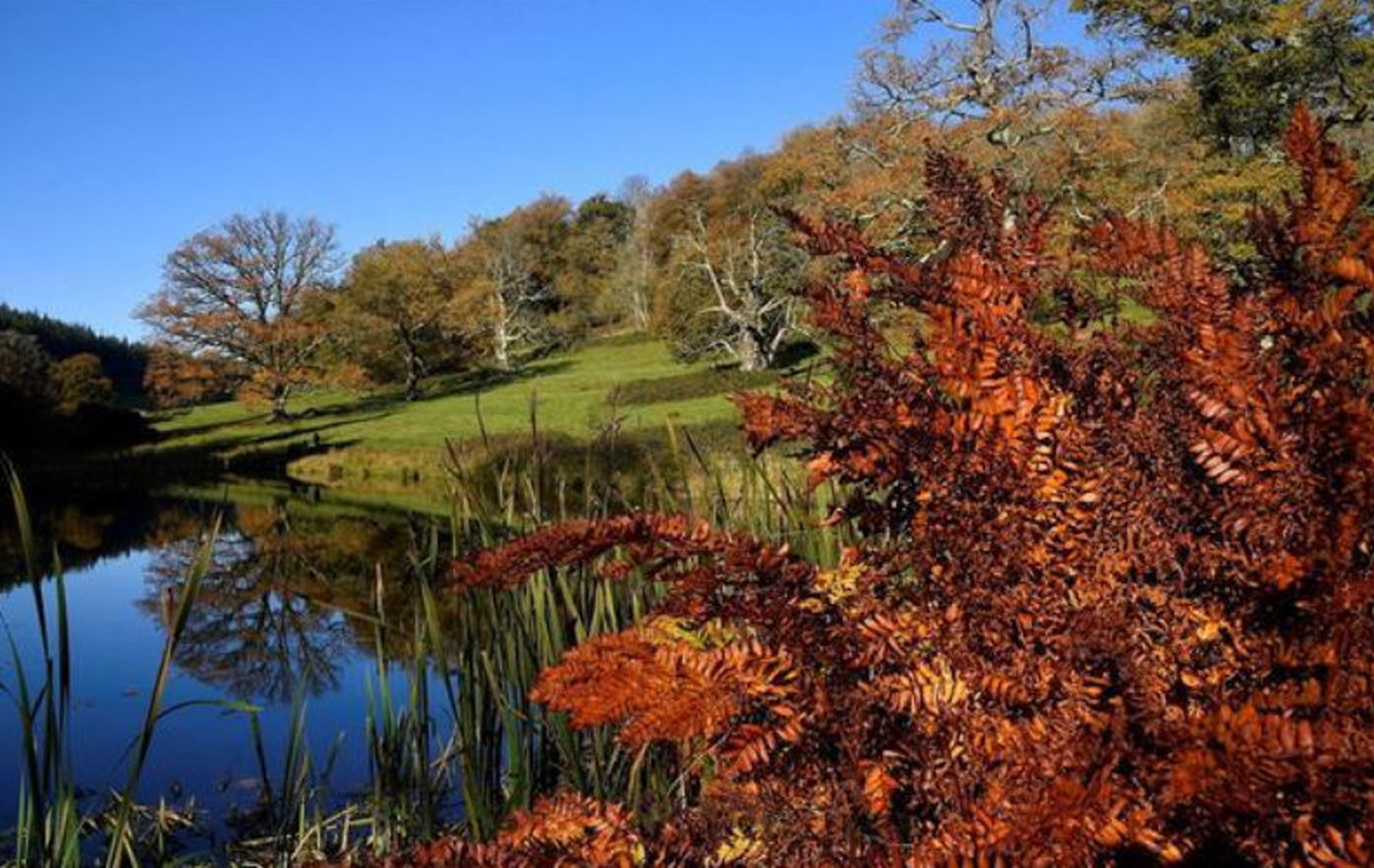 英国斯托海德花园·是最值得去逛一逛的花园