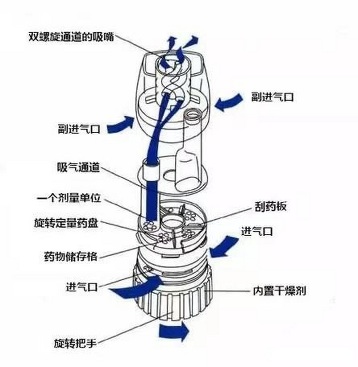 信必可内部构造图解图片