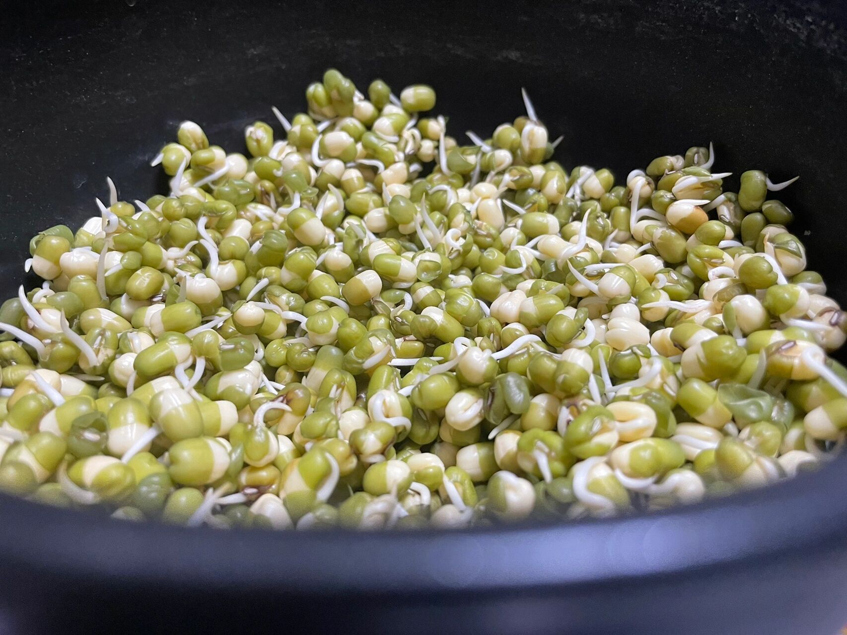 请问绿豆泡一晚上结果发芽了还能吃吗 不懂就问