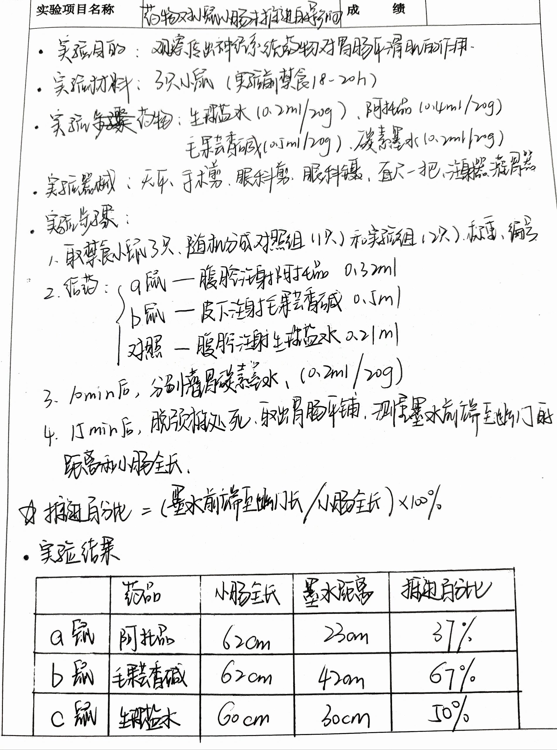 小鼠注射实验报告图片