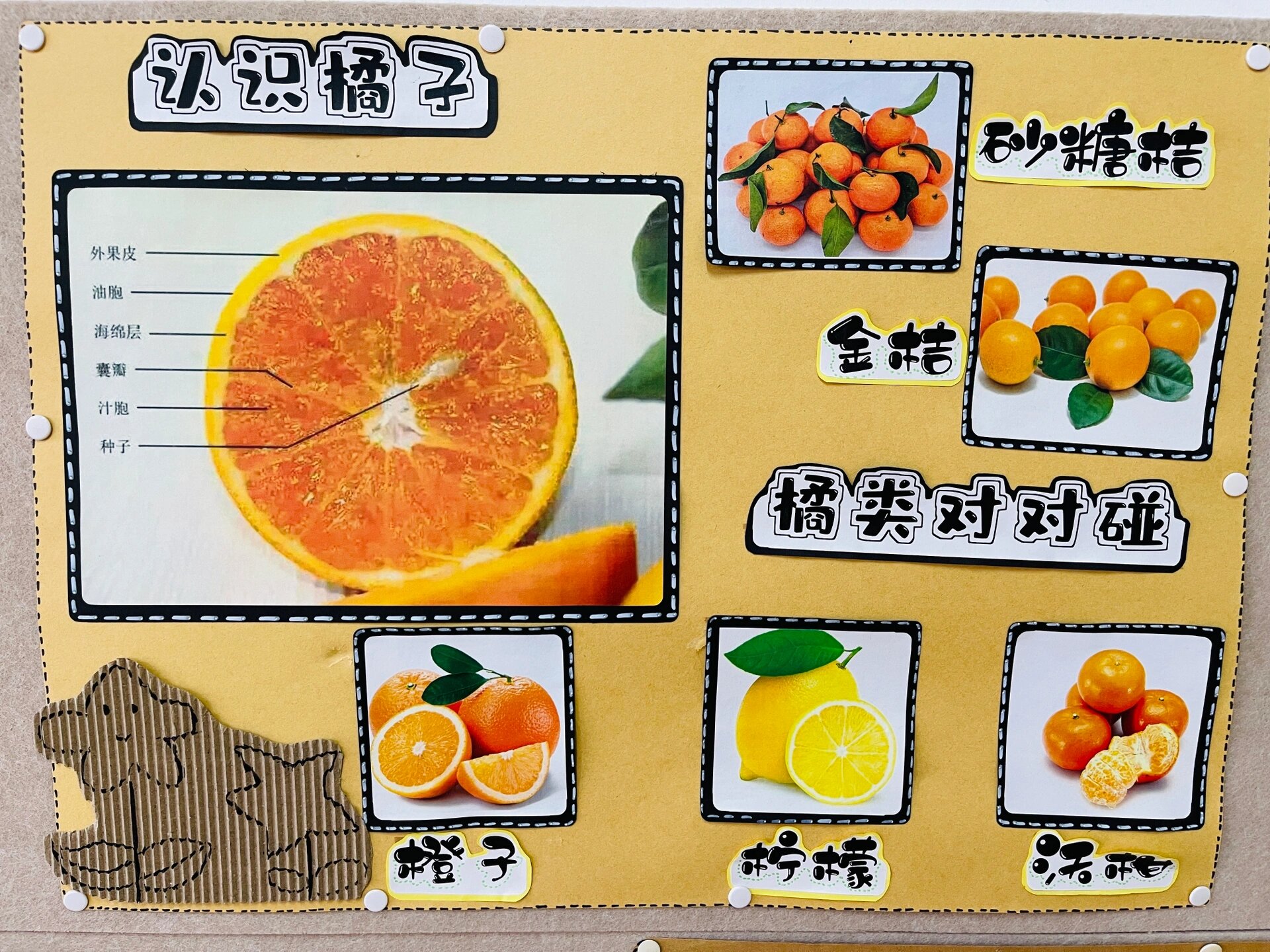 小班水果主题环创