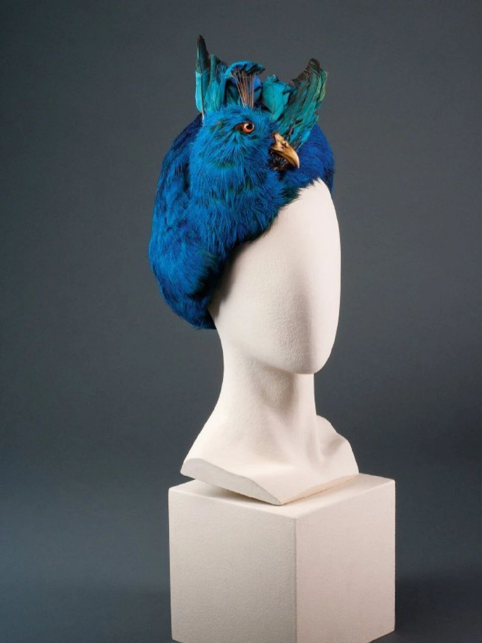 欧洲的「羽毛时尚」19世纪法国羽毛帽 18-19世纪的欧洲无论是名媛还是