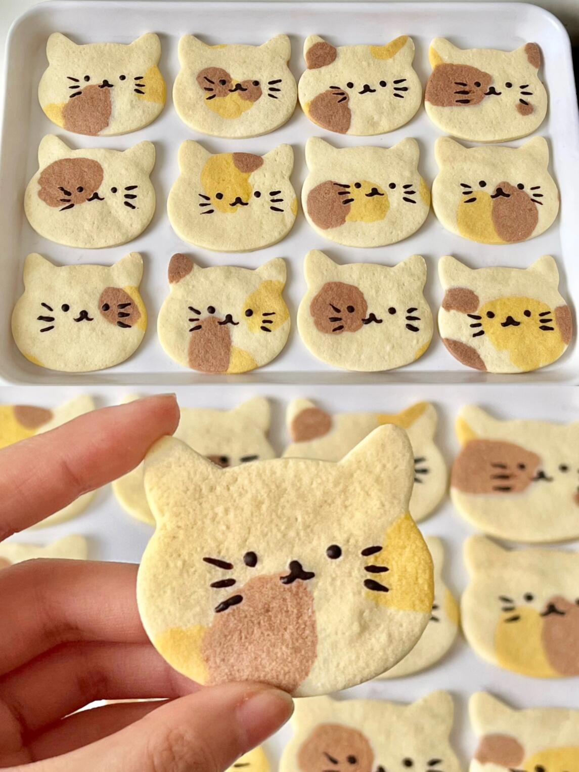 猫咪零食制作图片