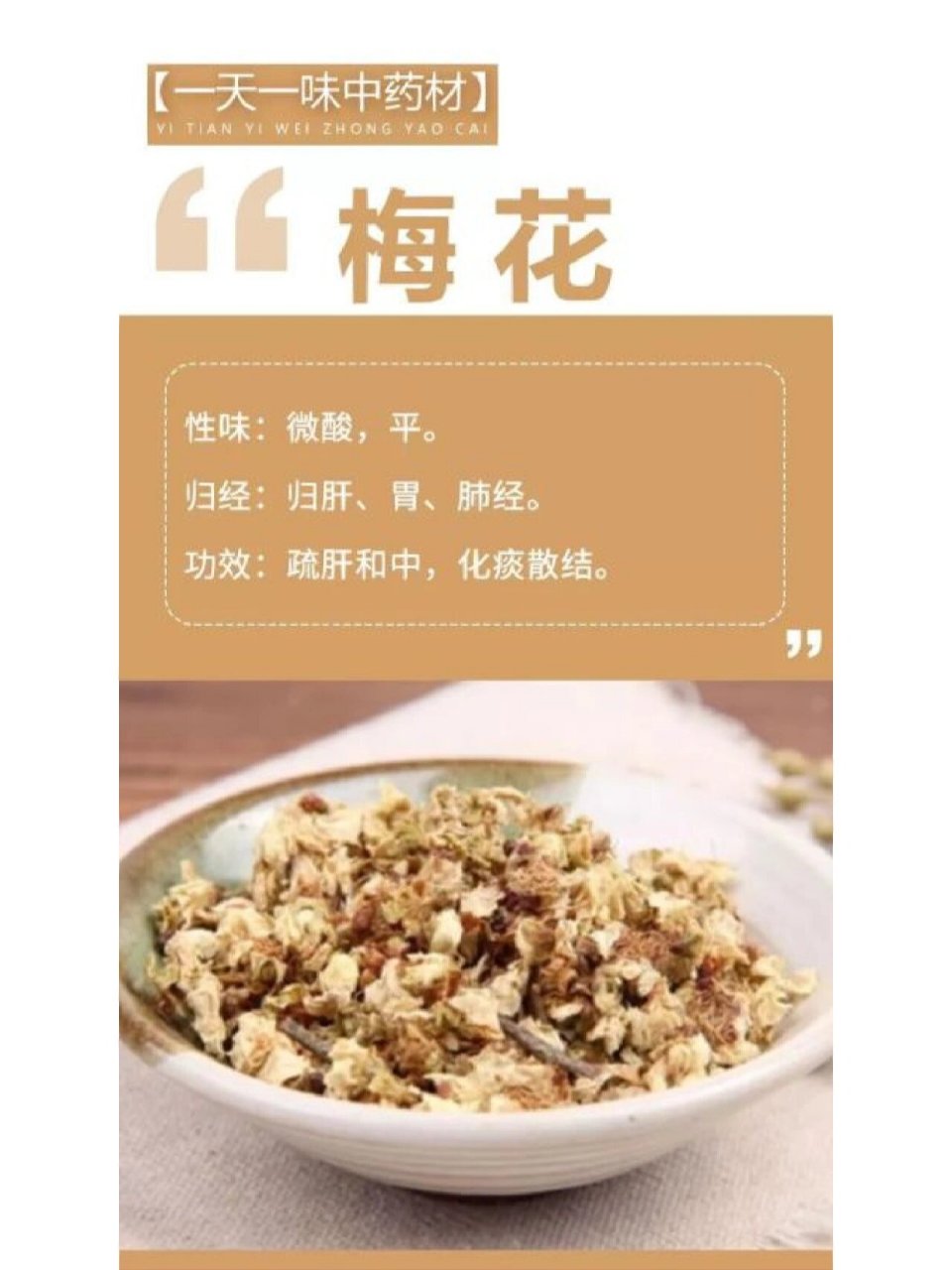 梅花藤的功效与作用图片