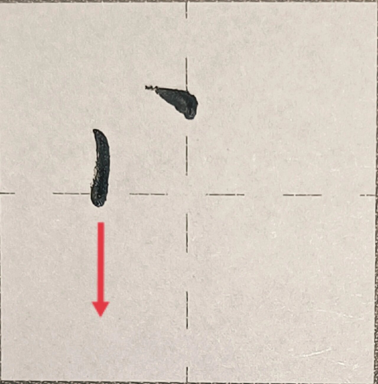 硬笔楷书规范字"它"  笔画分解干货