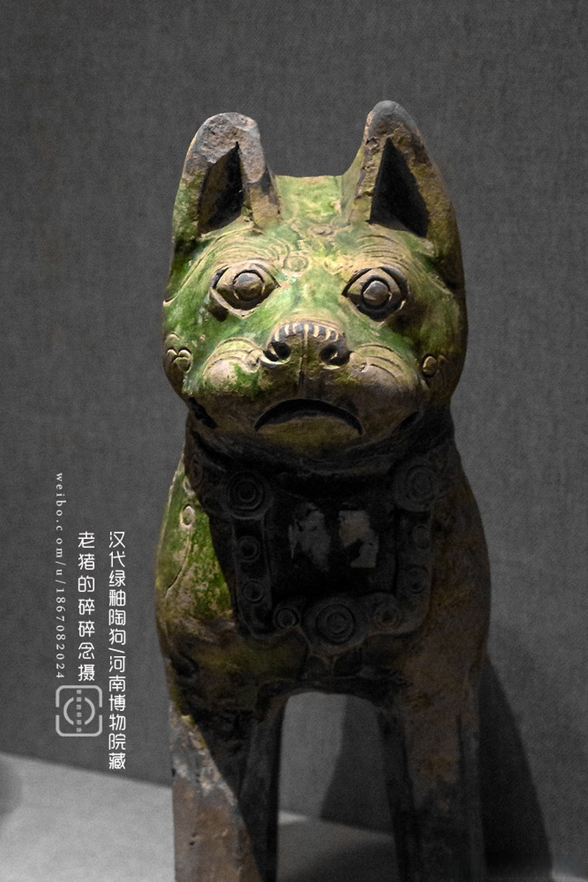 好像看到什么后被震惊的汉代狗狗.