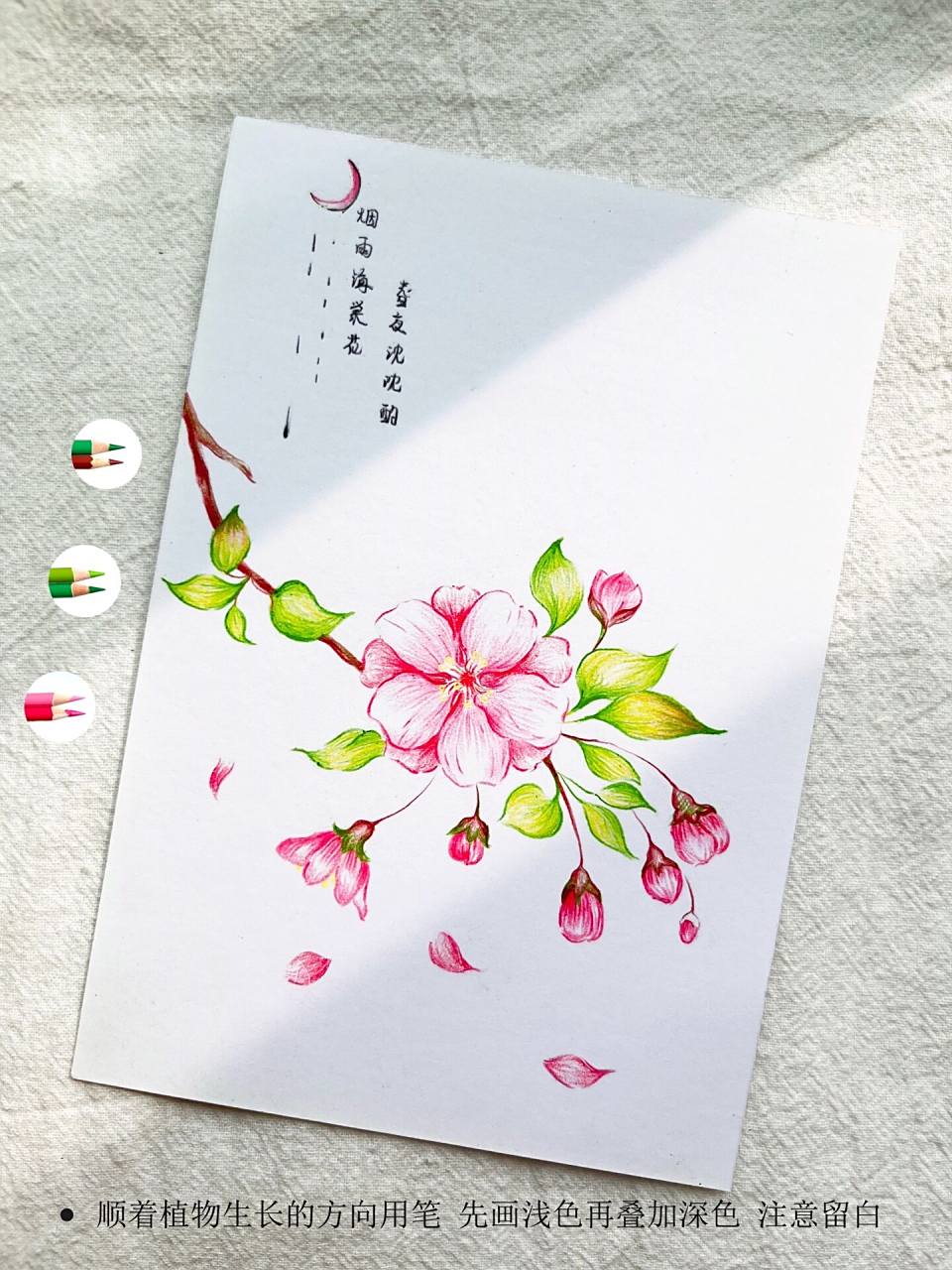 海棠花彩铅绘画步骤图 烟雨海棠花,春夜沈沈酌 一幅很简单的小画,20