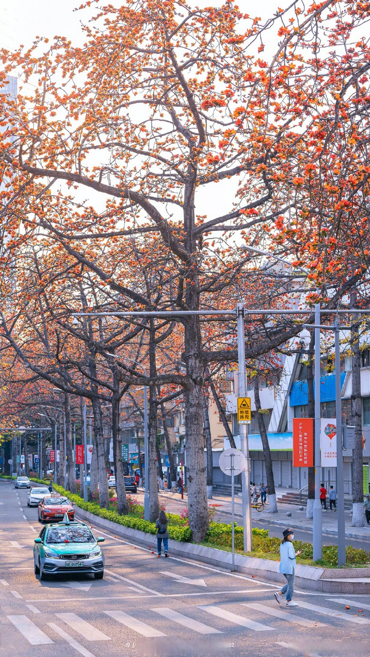 广州早晨#【多云间晴,早晚有轻雾,17℃~28℃】 广州人的日常:同靓