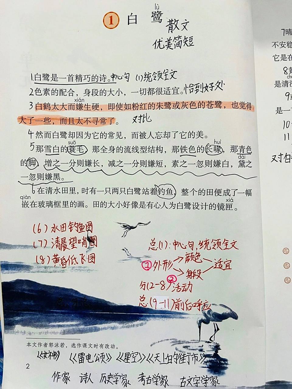 五上语文笔记《白鹭》 第一课《白鹭》学生课堂笔记分享
