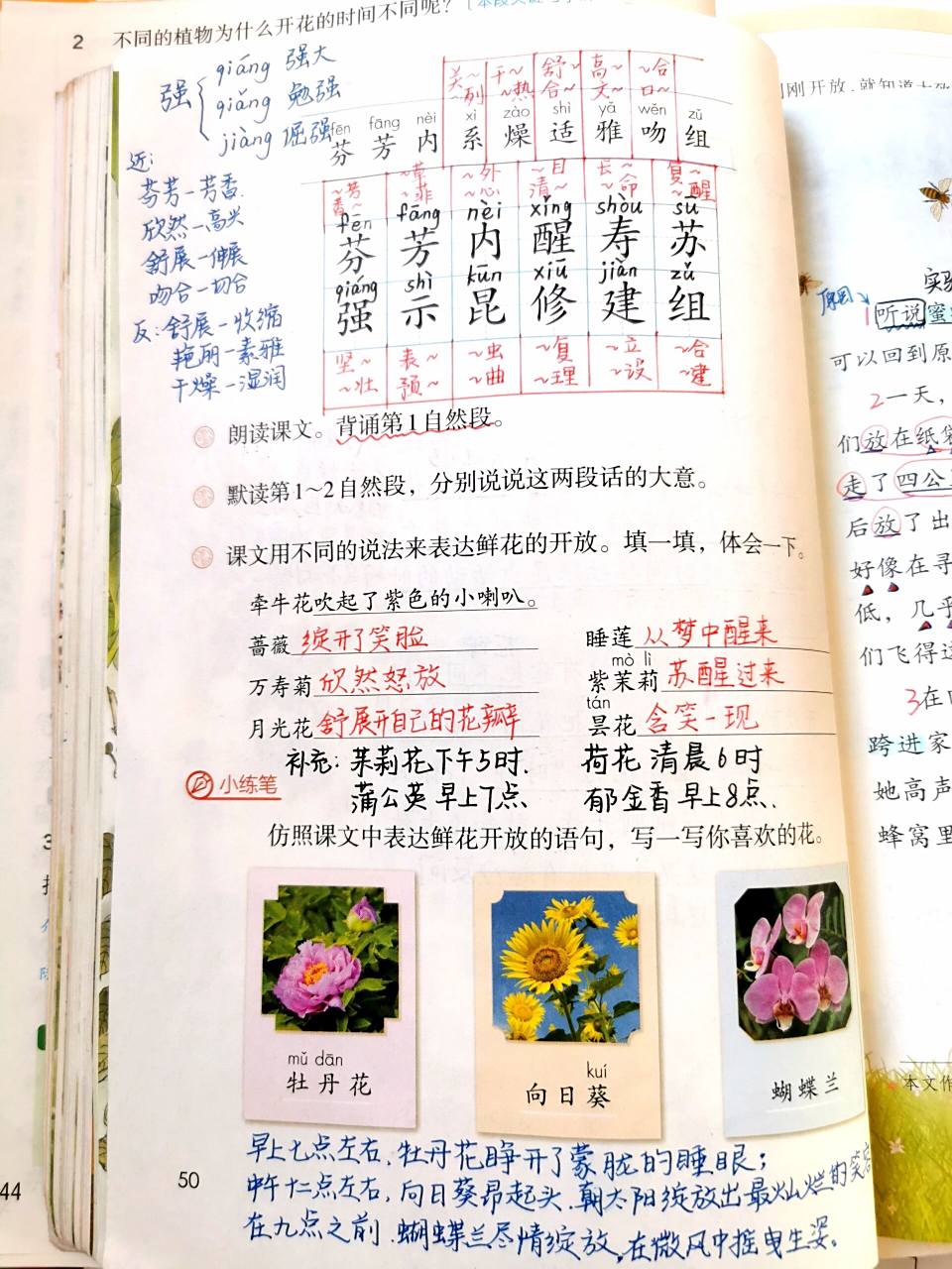 三下语文课本《花钟》 三年级下册语文第四单元《花钟》课本笔记