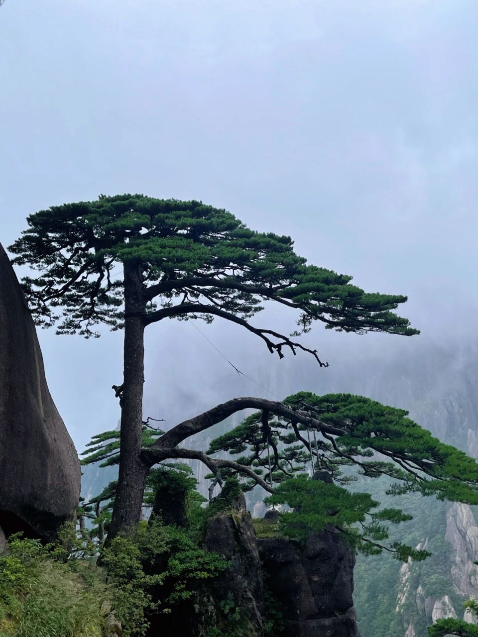 安徽旅游 最美画廊 迎客松 安徽一日游 迎客松～ 宏村～小桥流水人家