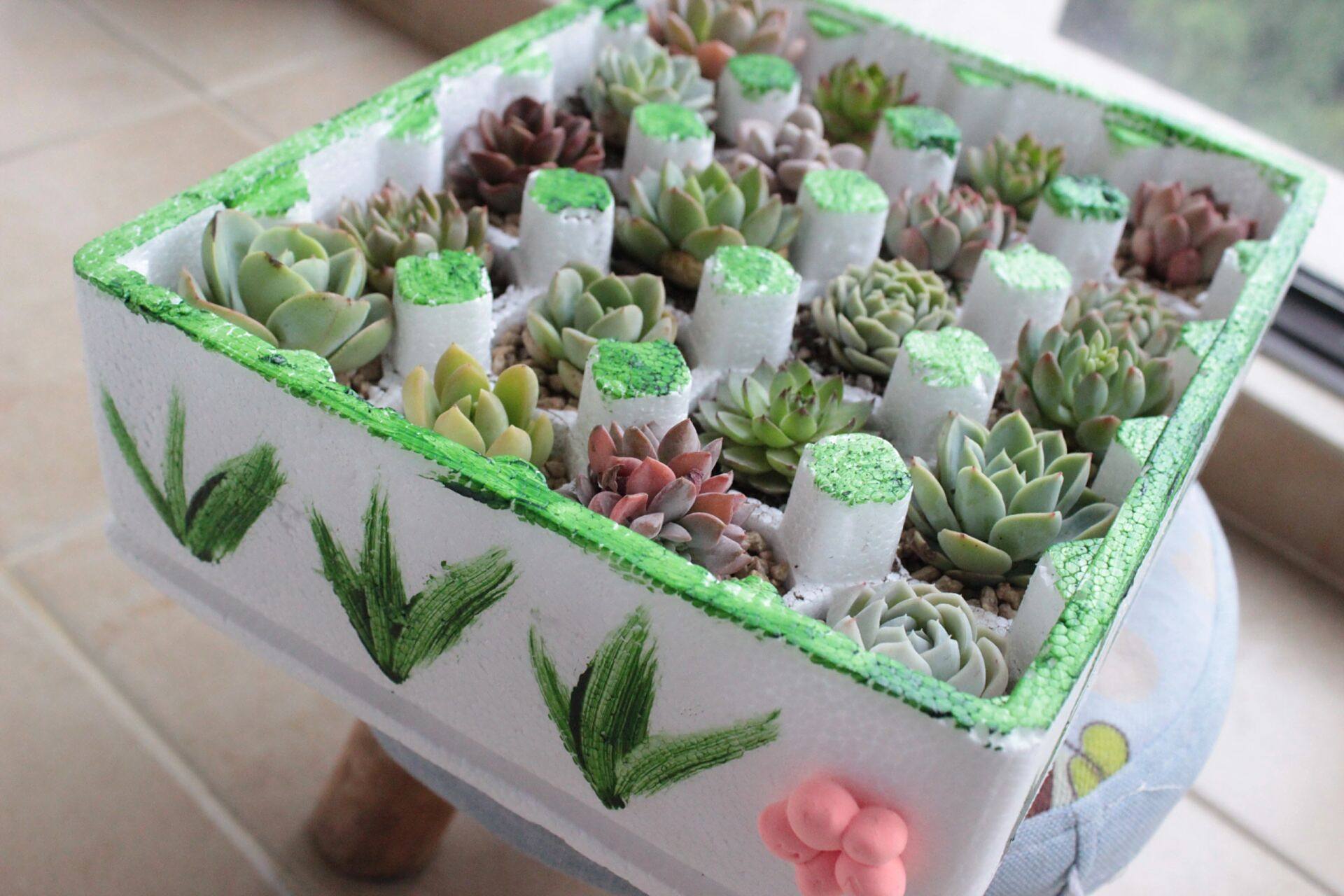 泡沫箱改造后美翻了   我是画画小白,乱画一通,还算满意,勿喷.