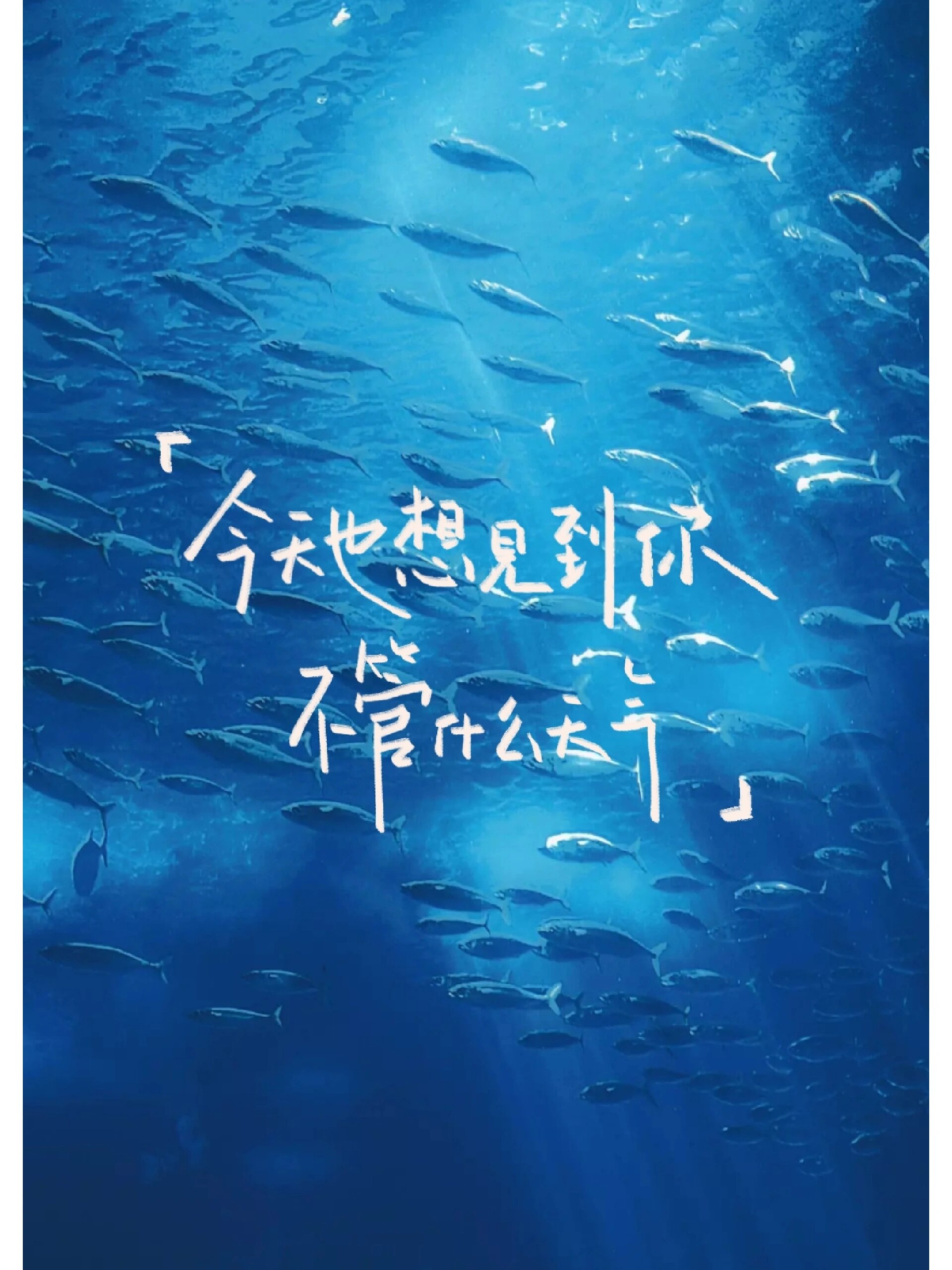 无属性卡背‖文字版