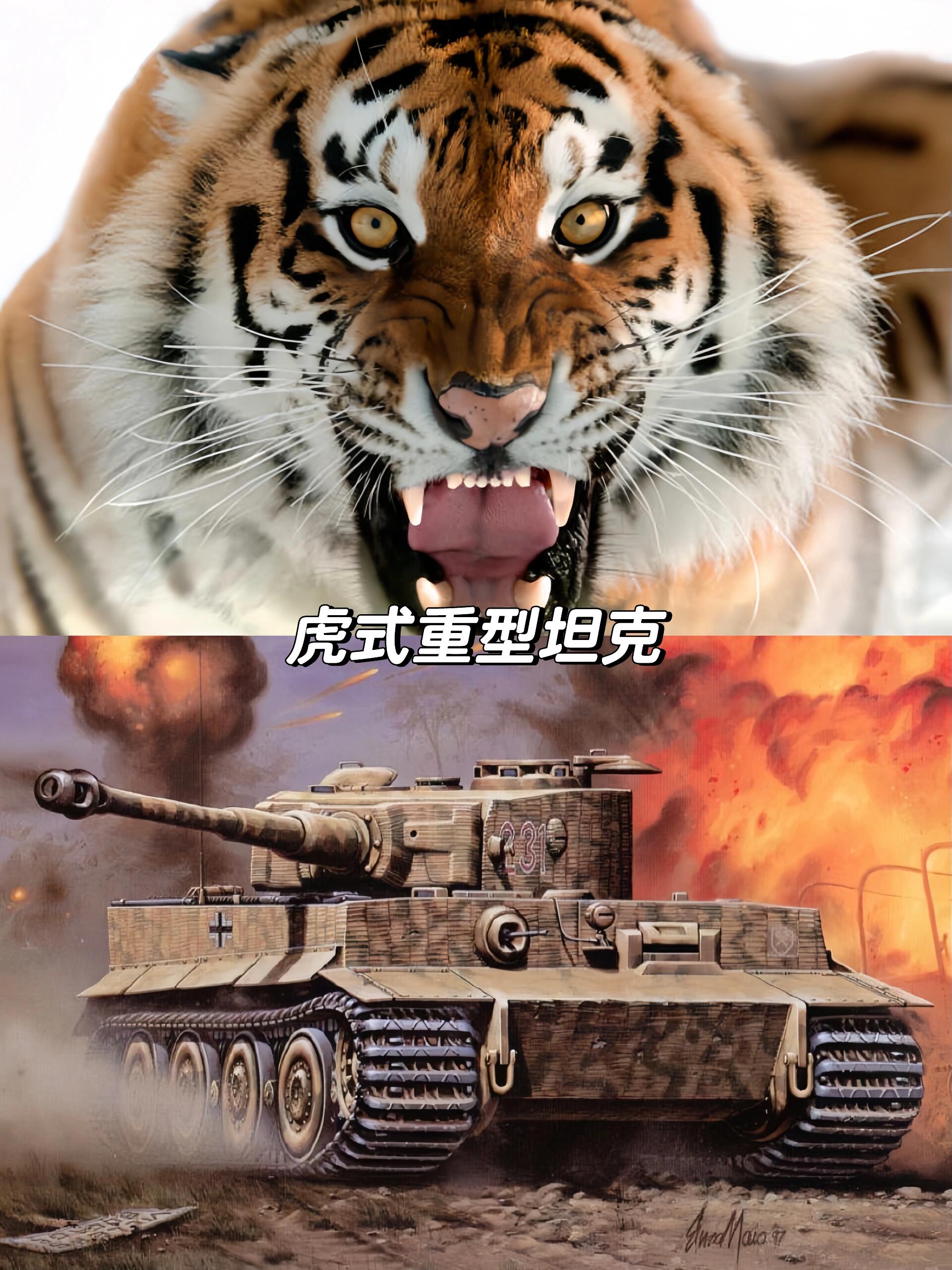 二战德国装甲动物园