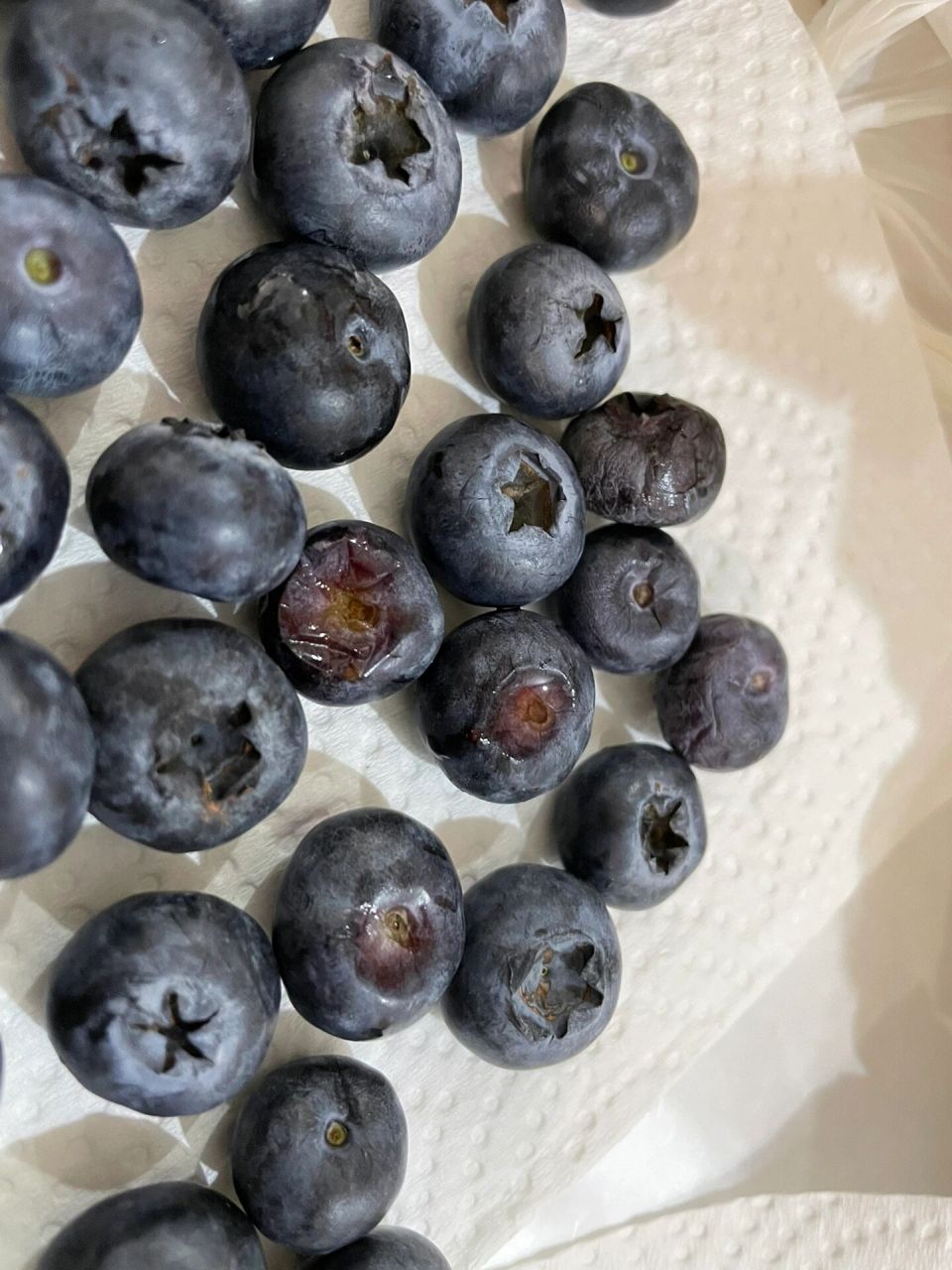 怡颗莓这次这么多烂果!蓝莓爱好者狂怒! 好生气好生气!