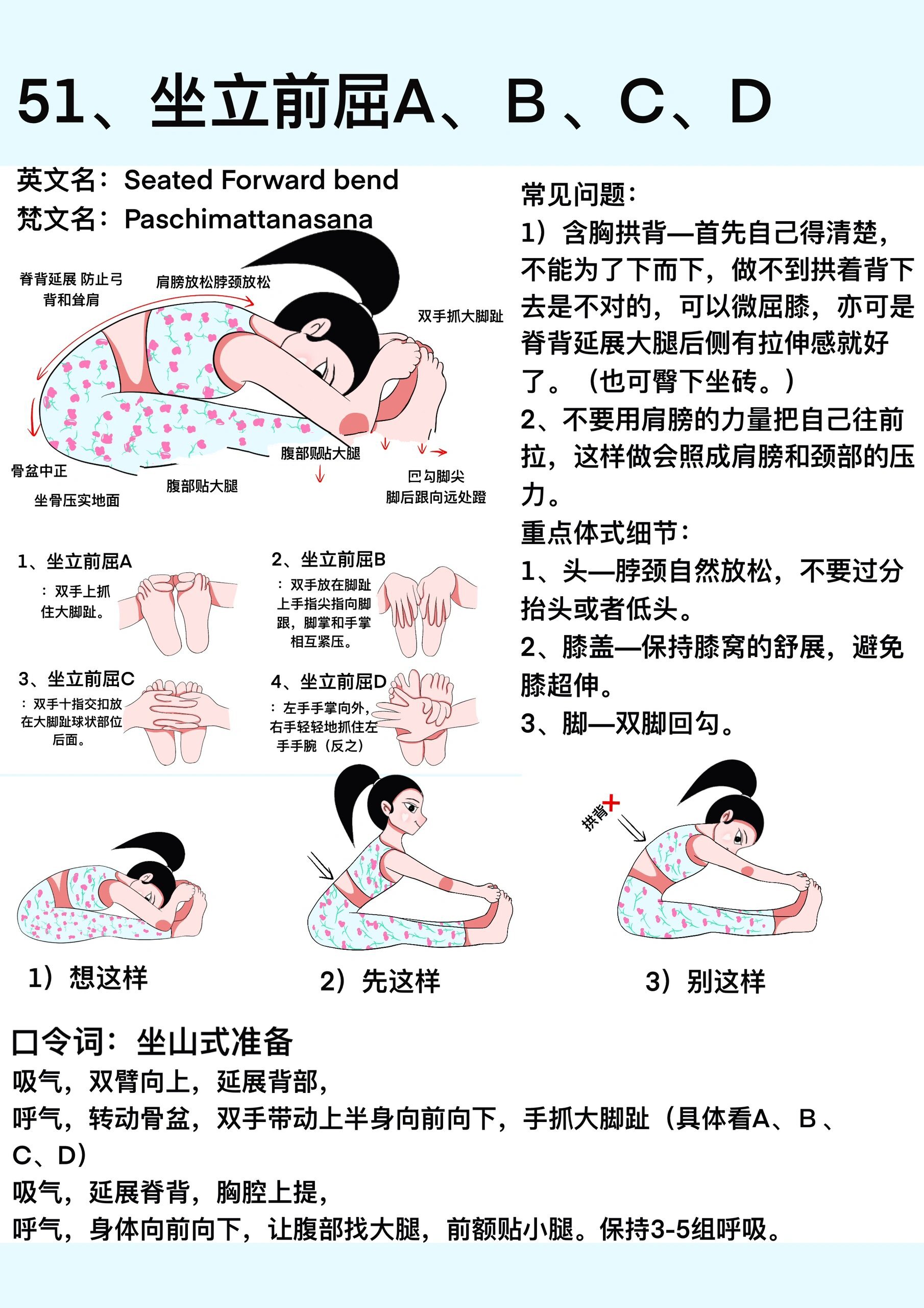 瑜伽坐立前屈图片