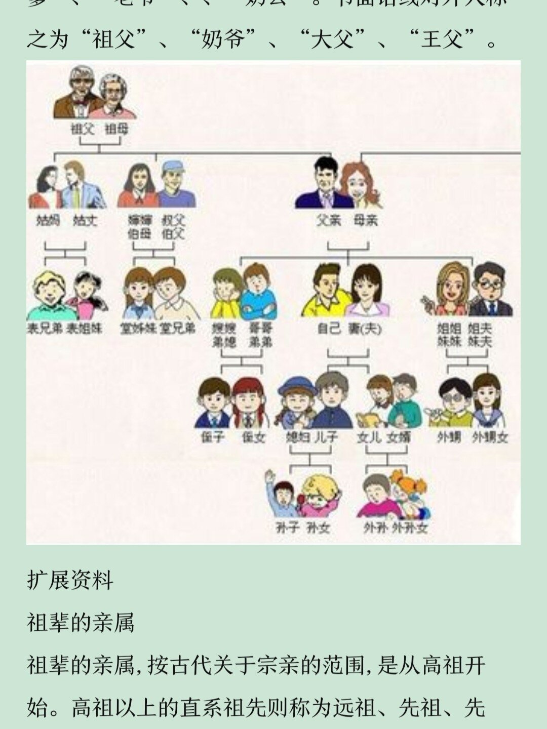 家庭关系图