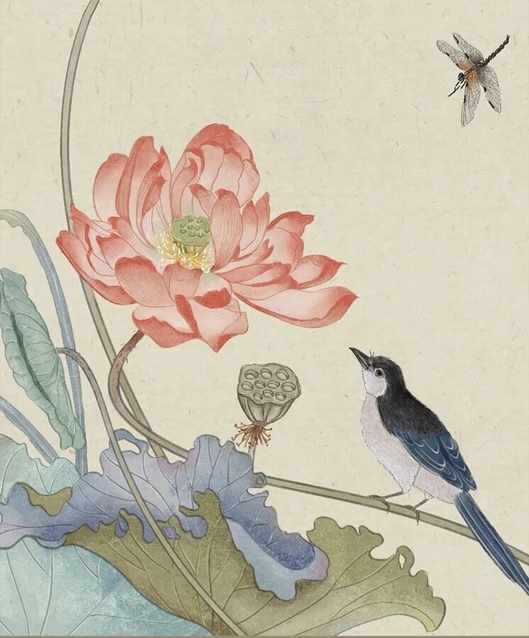 五上《珍珠鸟》试讲 高分导入 16615从古至今,人们的身边总是围绕