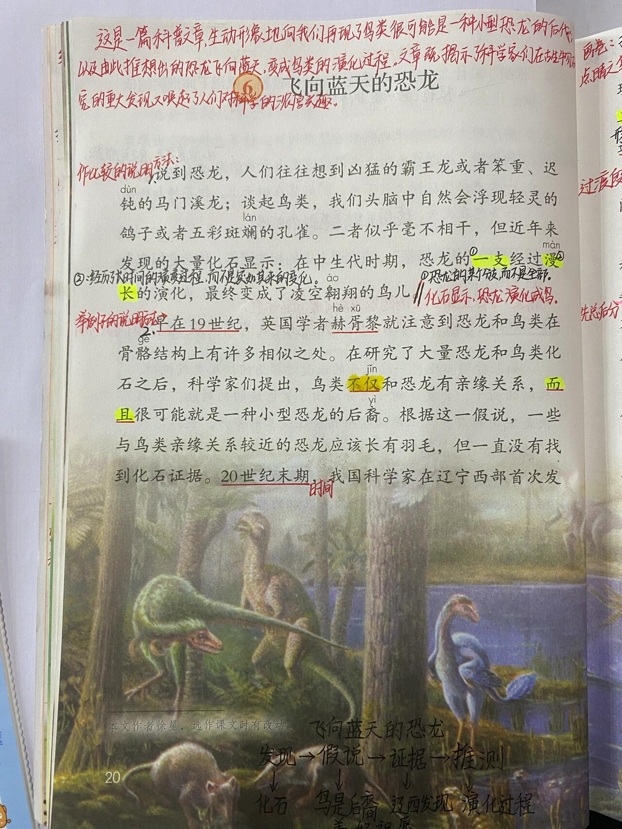 部编版四年级语文下册,第六课 飞向蓝天的恐  我借鉴的,感谢大家78