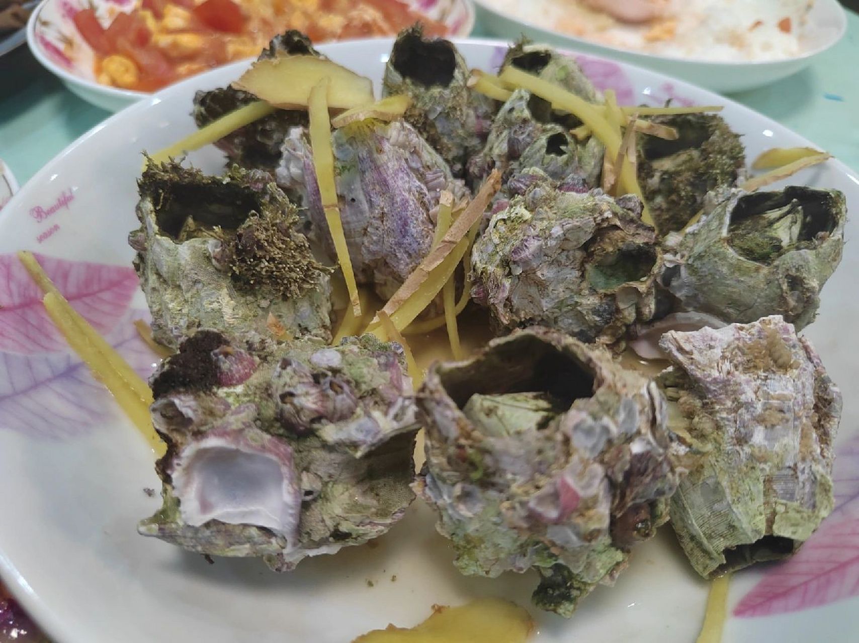 藤壶原来可以这样吃 第一次吃藤壶(市值30元一斤) 5斤两个人吃还不够