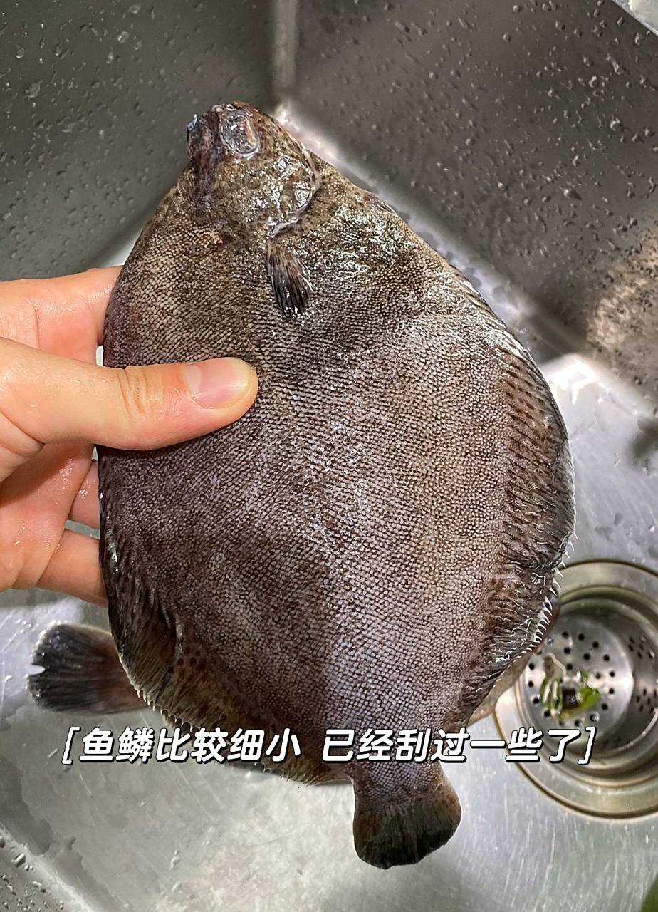 红烧比目鱼(高眼鱼) 比目鱼也叫高眼鱼,眼睛只长在身体同一侧,成鱼