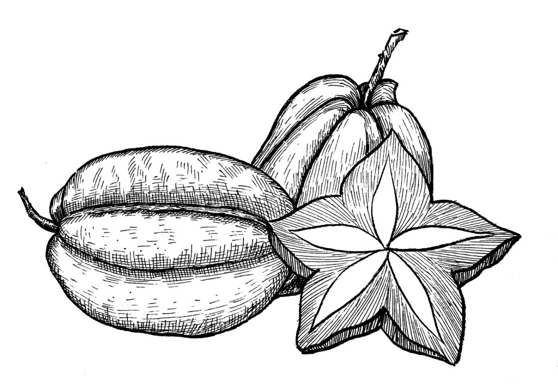 《杨桃写生》 适合年龄:8岁以上 绘画工具:铅笔,橡皮,勾线笔,素描纸