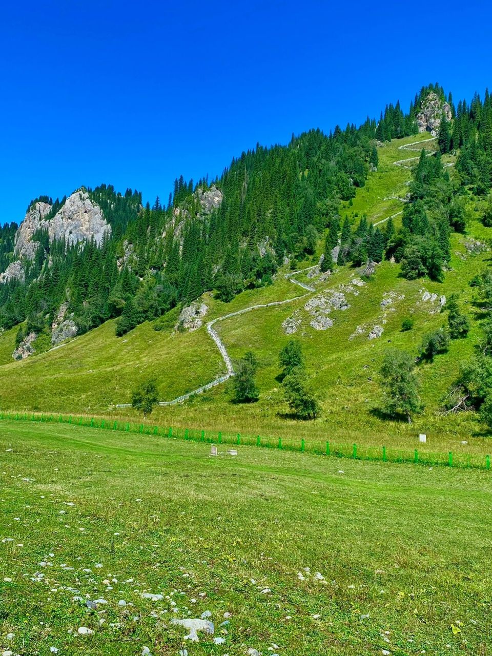 祖国江山自驾游之唐布拉百里画廊 唐布拉草原是新疆伊犁地区著名的