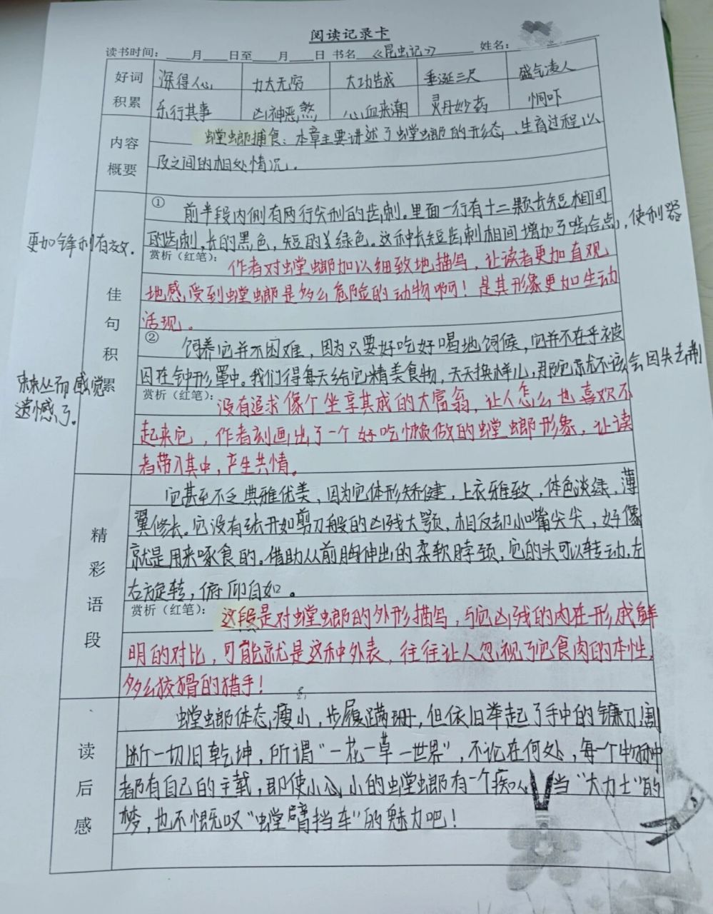 《昆虫记》蝉出地洞 螳螂捕食 《昆虫记》读书笔记