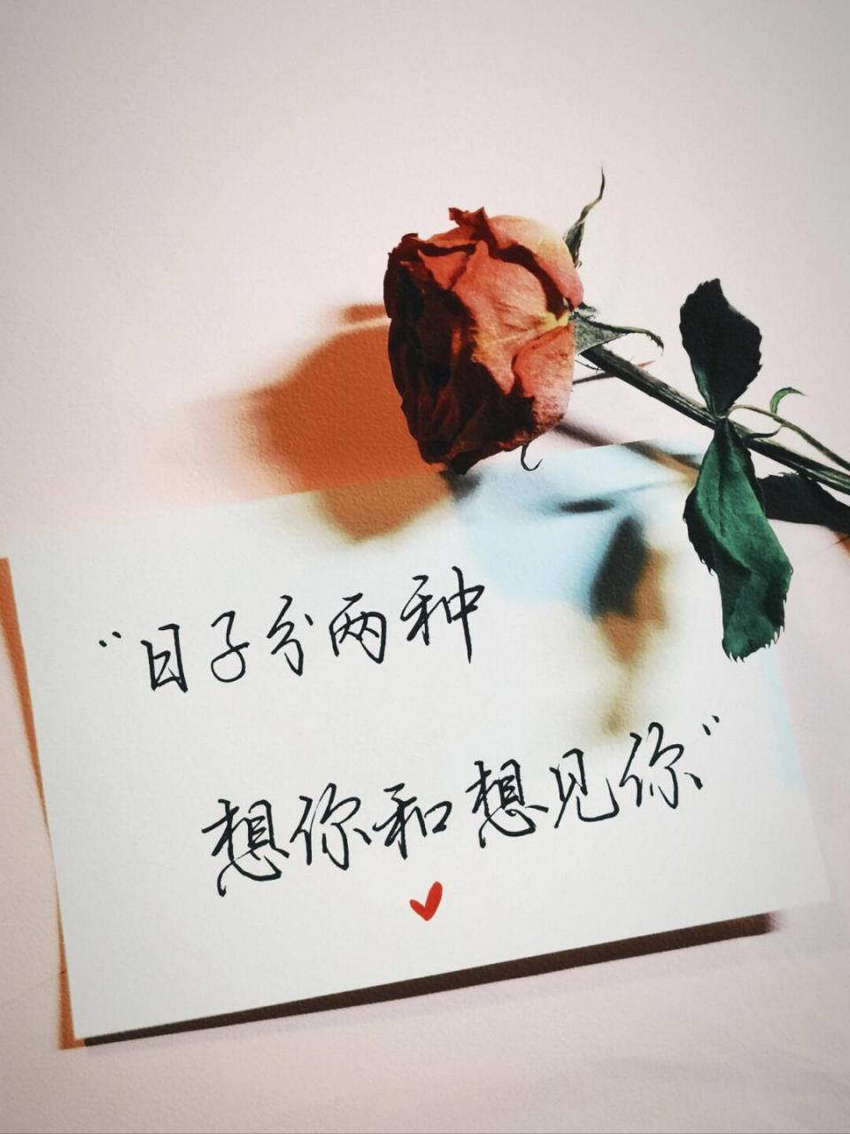 每日情话# #手写情话# #手写情书# #想你# #我被文字打动# #文字