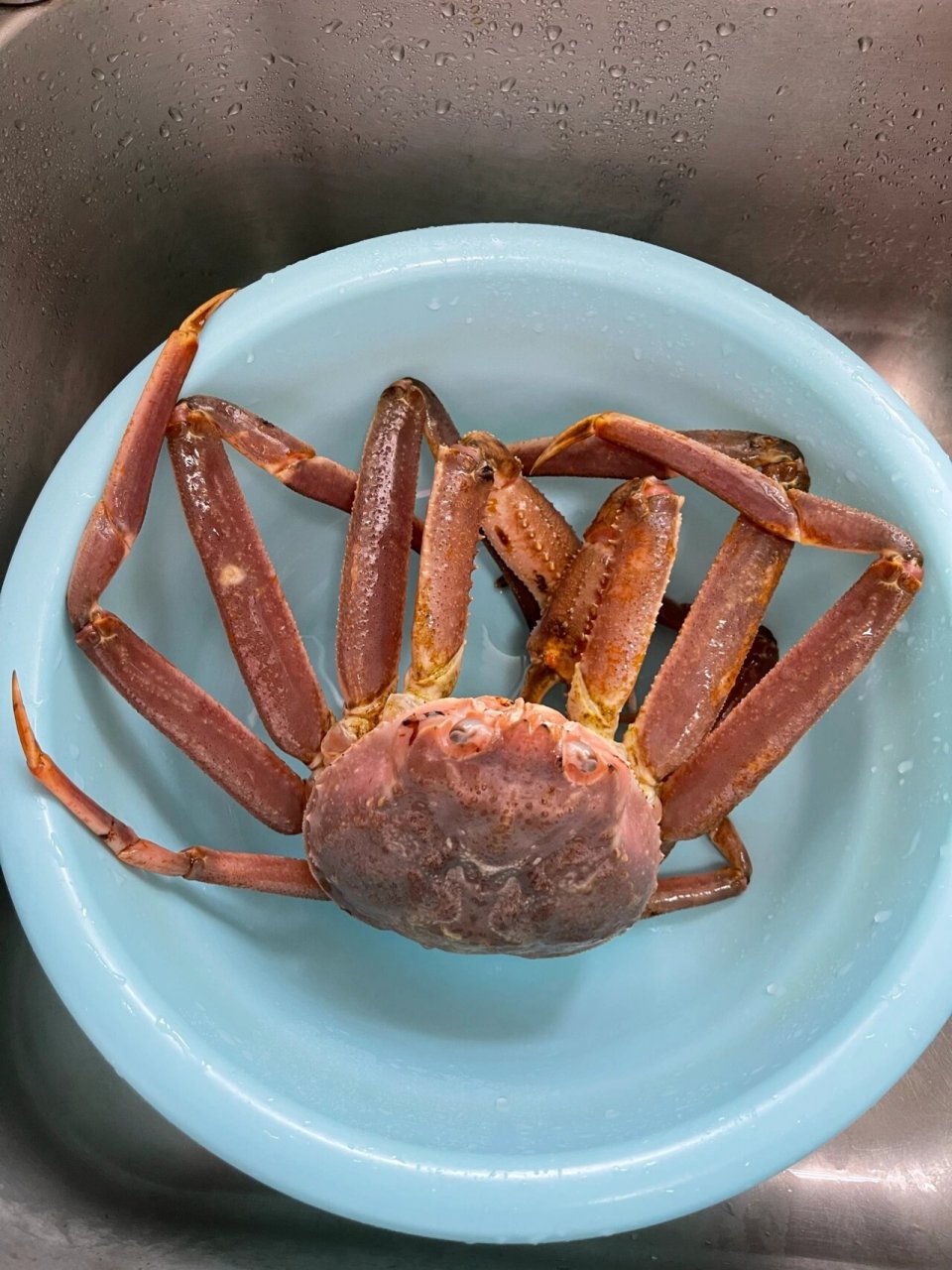 长腿蟹怎么吃?