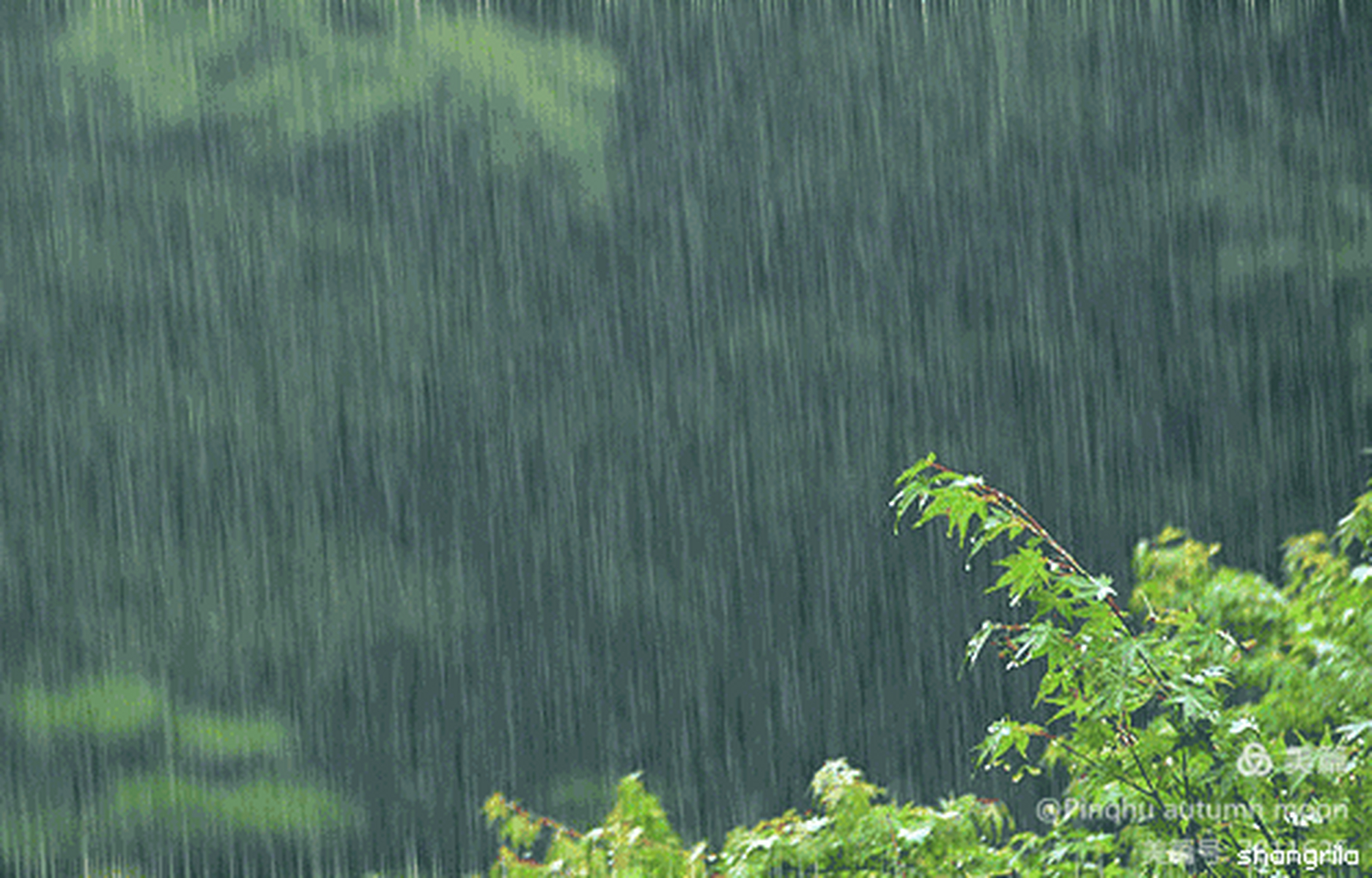 清风徐来水波不兴,你对下联清风徐来水波不兴,细雨蒙蒙点点润物.